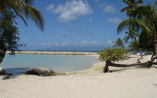 Le Grand Large Plage Hotel Sainte-Anne  Exterior photo